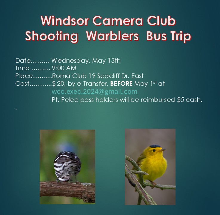 Workshop • May 13, 2026